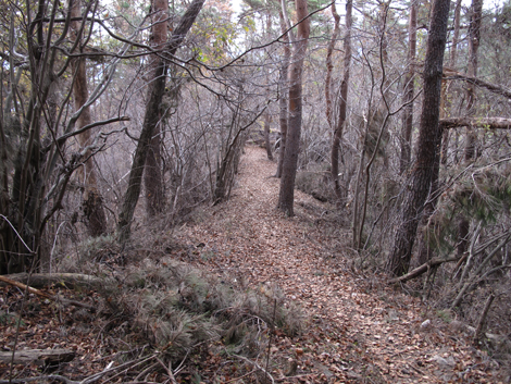 20181126hike (292)